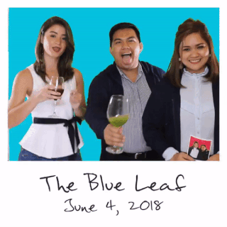 The Blue Leaf – Boomerang Booth